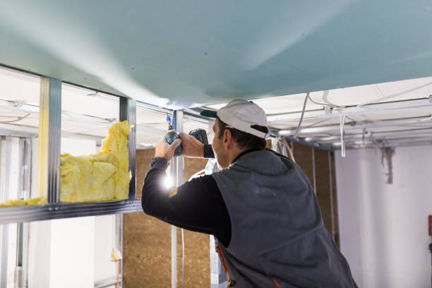 Best Types of Insulation in Seguin, TX