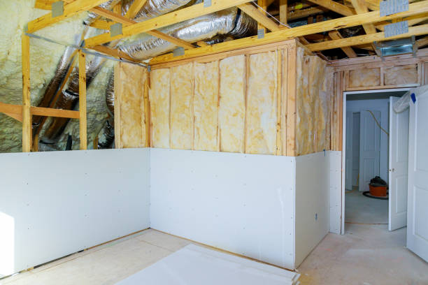 Best Insulation Maintenance and Repair in Seguin, TX