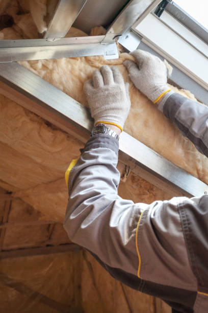 Best Specialty Insulation in Seguin, TX