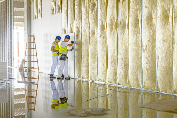 Best Residential Insulation in Seguin, TX
